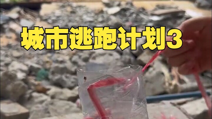 خطة الهروب من المدينة 3