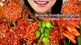 ASMR BEBEK GORENG SAMBEL KOREK + TERONG TEMPE PENYET  | ASMR MUKBANG INDONESIA