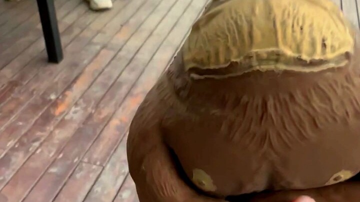 Tổng giám đốc mù chữ