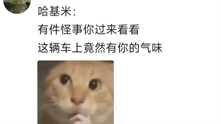 دراجة مفقودة منذ نصف عام عثرت عليها القطّة الصغيرة التي اعتدت إطعامها بانتظام!