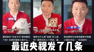 نحن في عام 2023 بالفعل، لماذا يتعرض من يربي قطة دون إنجاب أطفال للتنمر عبر الإنترنت؟؟؟