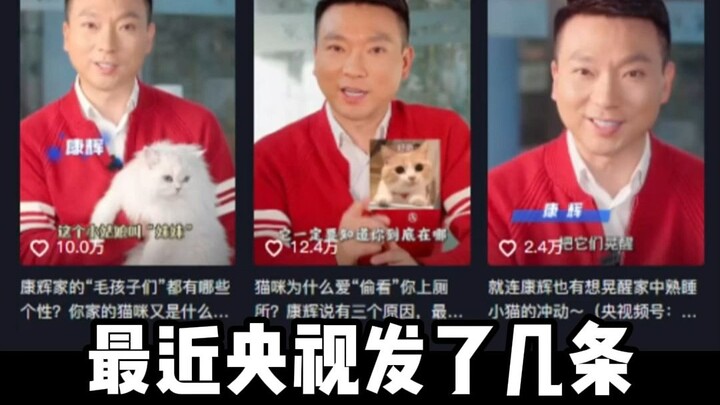 นี่ปี 2023 แล้วนะ ทำไมเลี้ยงแมวแต่ไม่มีลูกถึงโดนด่าในโลกออนไลน์ล่ะ???