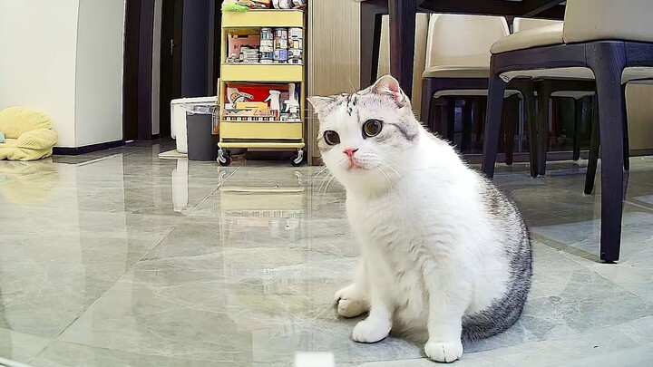 Bener-bener kayak kamu yang lagi nunggu di kantin sekolah buat ambil makanan setelah kelas selesai.