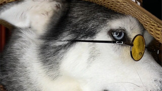 Sao cái quần bò này trông cứ lôi thôi lếch thếch thế nhỉ?