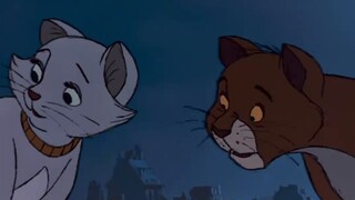 Sang Countess meninggalkan warisan bernilai jutaan dolar kepada kucingnya