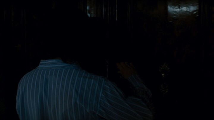 The Tourist 2010