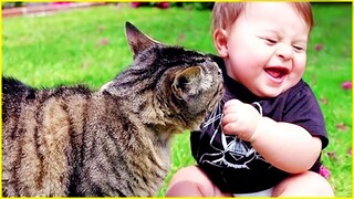 Best video of Cute Babies and Pets - Funny Baby and Pet