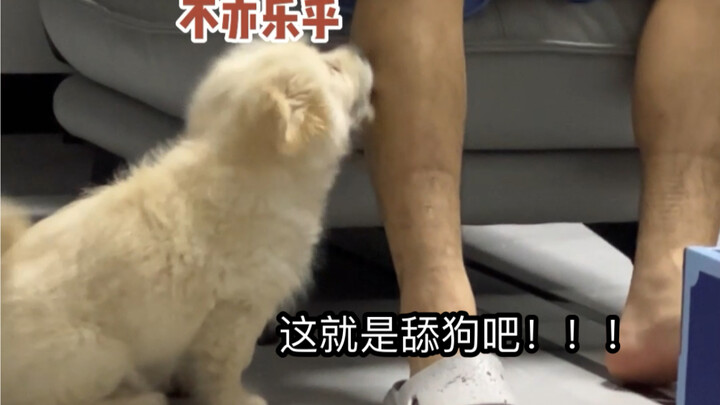 ฉันนึกว่าไม่ได้ให้มันกินของเค็มเลย ที่ไหนได้ กลับมาเจอว่ามันไปเลียแฟนหนุ่มอยู่ทุกวัน!