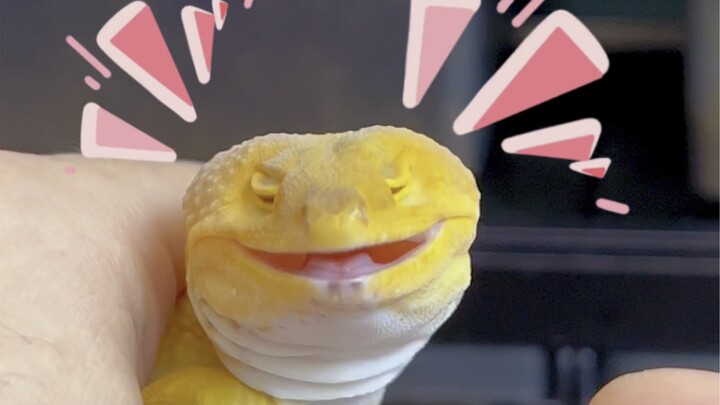 Dia benar-benar sudah berusaha keras untuk membuka mata.