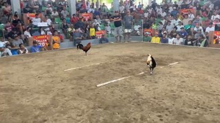 lance 200k vs boyugin