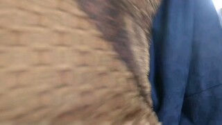 Hidup kembali dengan 3 istri