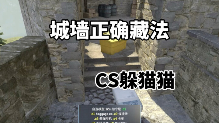 CS2躲猫猫:融入地形