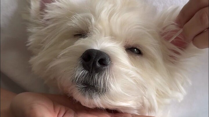 Mulai sedikit menikmatinya