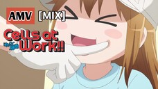 Cells At Work, AMV [MIX]Platelet Kawai💕