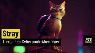 Stray | PREVIEW | Katzenabenteuer in düsterer Cyberpunk-Metropole