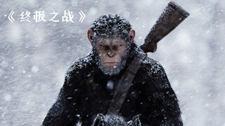 高智商猩猩为了逃出牢笼，竟然学会了制造陷阱！《猩球崛起3》