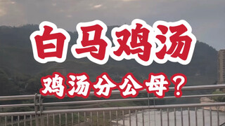 Did you know that chicken soup also comes in male and female varieties?