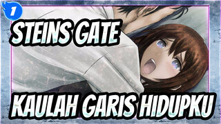 [Steins;Gate | AMV] Kaulah Garis Hidupku_1