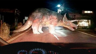 Kepunahannya Hanya Bohongan !! 8 Penampakan Dinosaurus yang Berhasil Terekam Kamera.