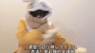 迟早要疯的萝莉镇魂曲