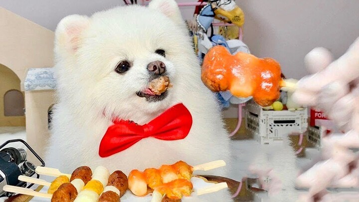 Chó Pomeranian ăn bánh gạo xúc xích và bánh gạo thịt lợn trên mạng, nhai ngon quá!