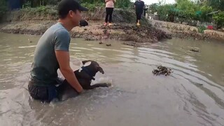 săn bắt ẩm thực vùng cao - Huy Động Lực Lượng Truy Đuổi Thuỷ Quái - cuộc chiến kinh hoàng