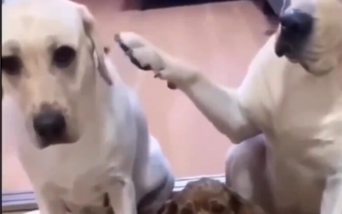 Kamu bisa, kamu pasti bisa!!