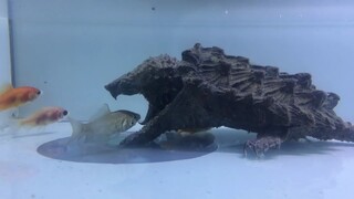 它还活着？