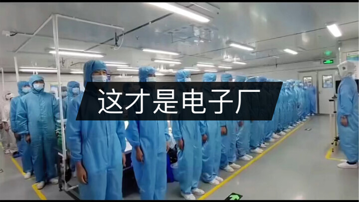 你知道真实的电子厂是什么样的吗？
