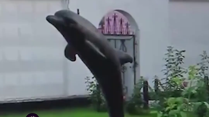 Russia's Black Sea Dolphin Prison: The World's Cruelest Site of Psychological Torture