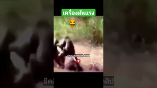 เครื่องมันแรง