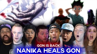 Nanika heals Gon Reaction Mashup!!