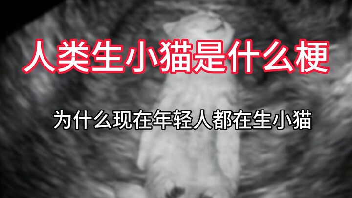 为什么现在的年轻人都在生小猫？人类生小猫是什么梗？