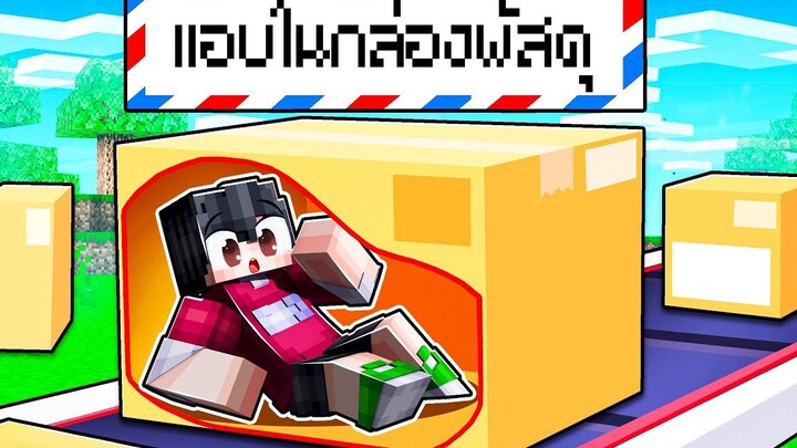 🏠เมืองหรรษา ตอน ดีซีโร่แอบอยู่ในกล่องพัสดุ Minecraft สตอรี่