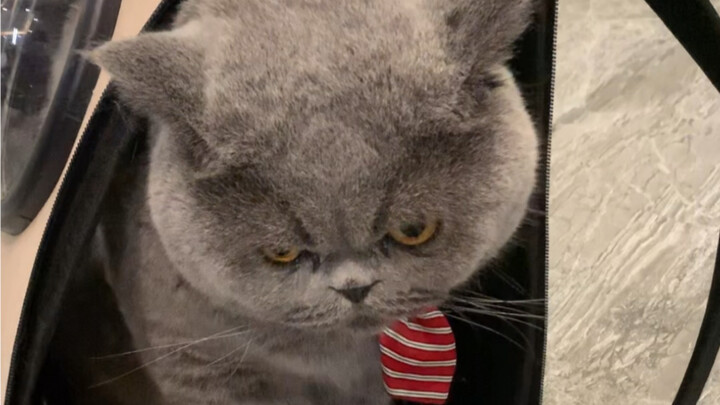 Ini adalah keputusan yang saya ambil dengan berat hati setelah pertimbangan matang…