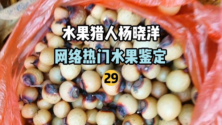 【水果猎人】网络热门水果鉴定29