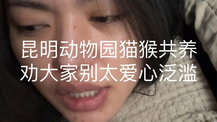 昆明动物园猴子虐猫 我劝大家别太爱心泛滥