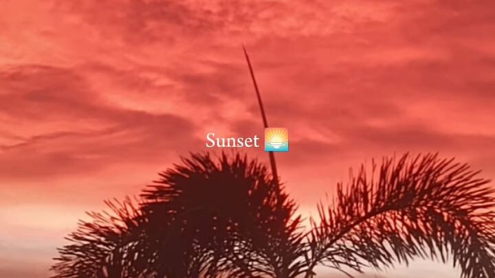 nature is not a place to visit it's a home 🍃🌴#AGITH🌴🍃#IPURPLEYOU💜