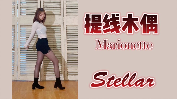 【Stellar】提线木偶Marionette性感黑丝翻跳