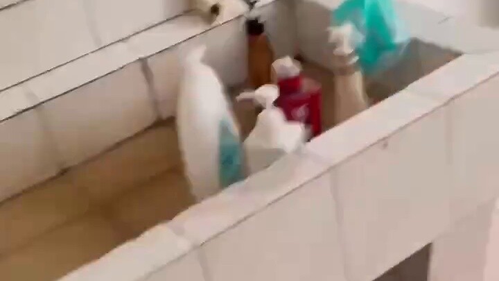 มหาวิทยาลัยหวู่ฮั่นมีหอพักสำหรับ 11 คน แต่ในปี 2565