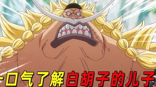【海贼王】一口气带你了解白胡子的儿子！他是新任七武海！实力究竟如何呢