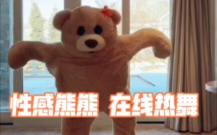 【表情包】沙雕布偶熊跳舞charming bear