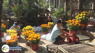 TẾT MIỀN TÂY - CÚNG TẾT ÔNG BÀ | Hội Ngộ Miền Tây #504