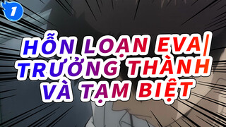 Hỗn Loạn EVA|【MAD】Neon Genesis Evangelion：Trưởng thành và tạm biệt_1