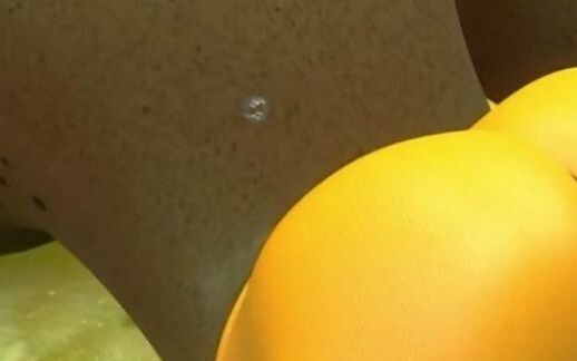 Serangga harus mati dan bisa dibuat menjadi bola nasi atau diiris menjadi sashimi