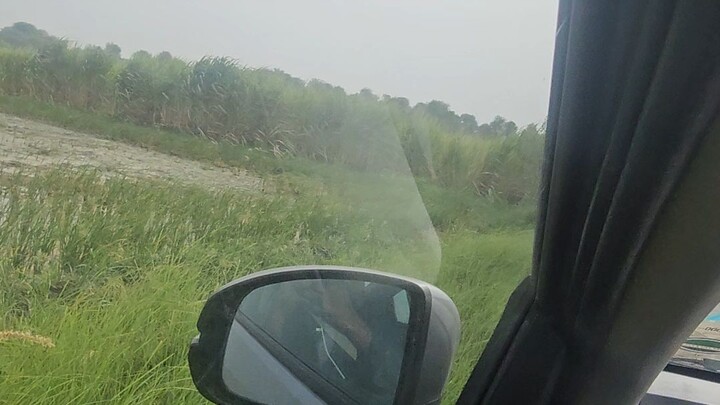 My aggriculture lands.