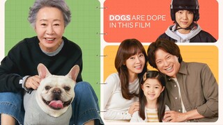 Dog Days Korean Full Movie(EngSub)