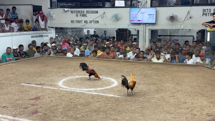Champion tayo 2 hits ulutan. Mag tropa nag laban haha