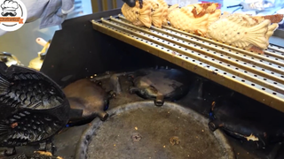 làm bánh cá hàn quốc 2 #food