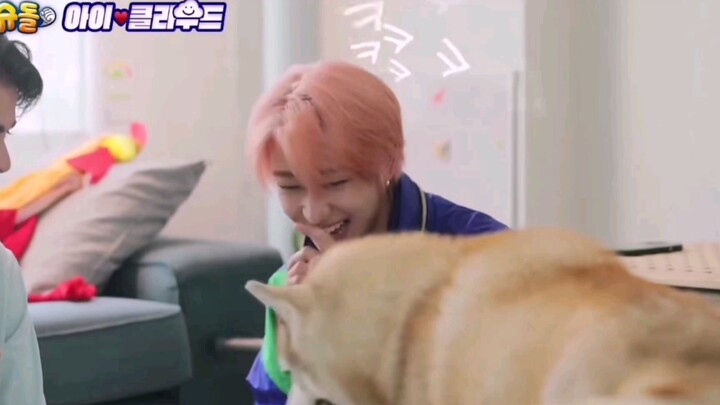 【Seo Myung-ho】Con cún này đúng là mê Xiao Ba hết chỗ chê, trời sinh đã có “thể chất hút cún” rồi hah